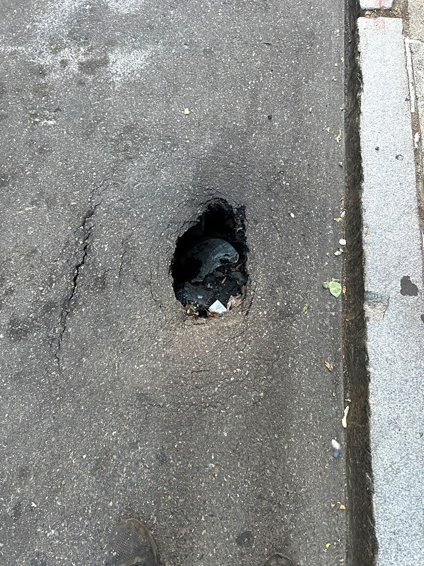 Image submitted with report