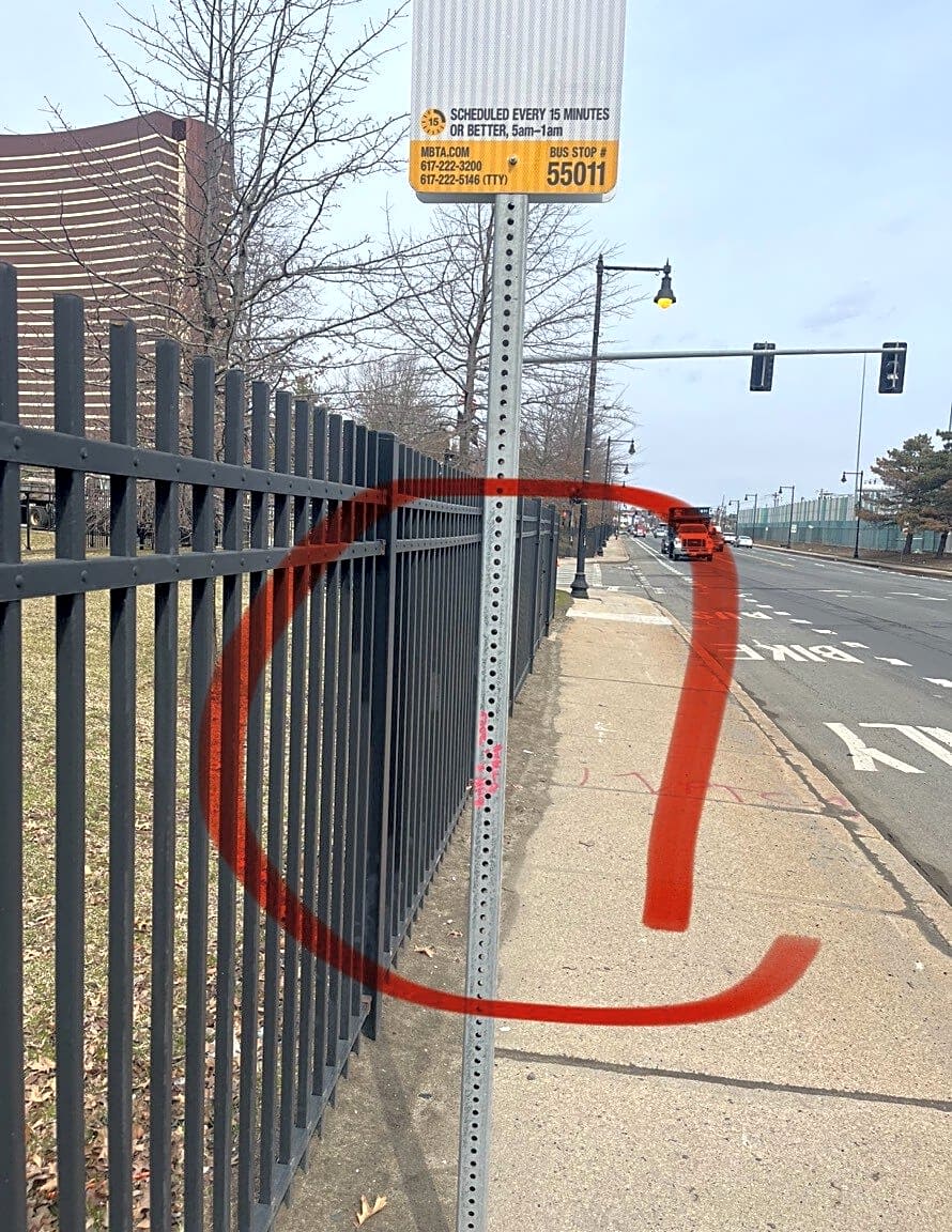 Image submitted with report