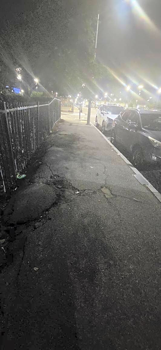 Image submitted with report