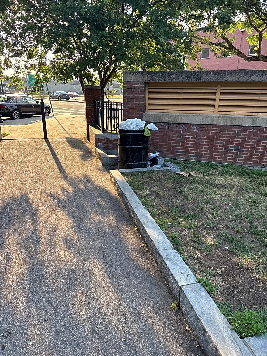 Image submitted with report
