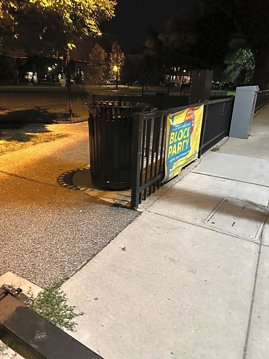 Image submitted with report