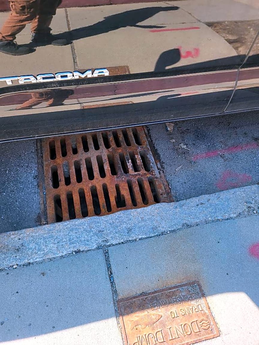 Image submitted with report