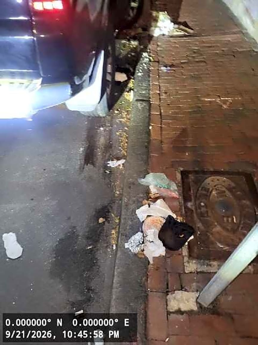 Image submitted with report