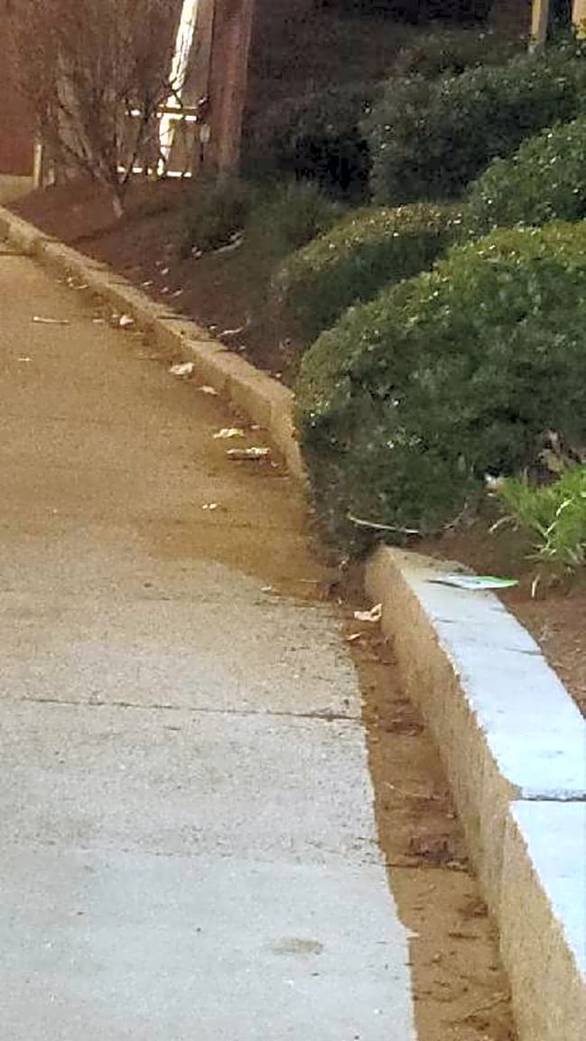 Image submitted with report