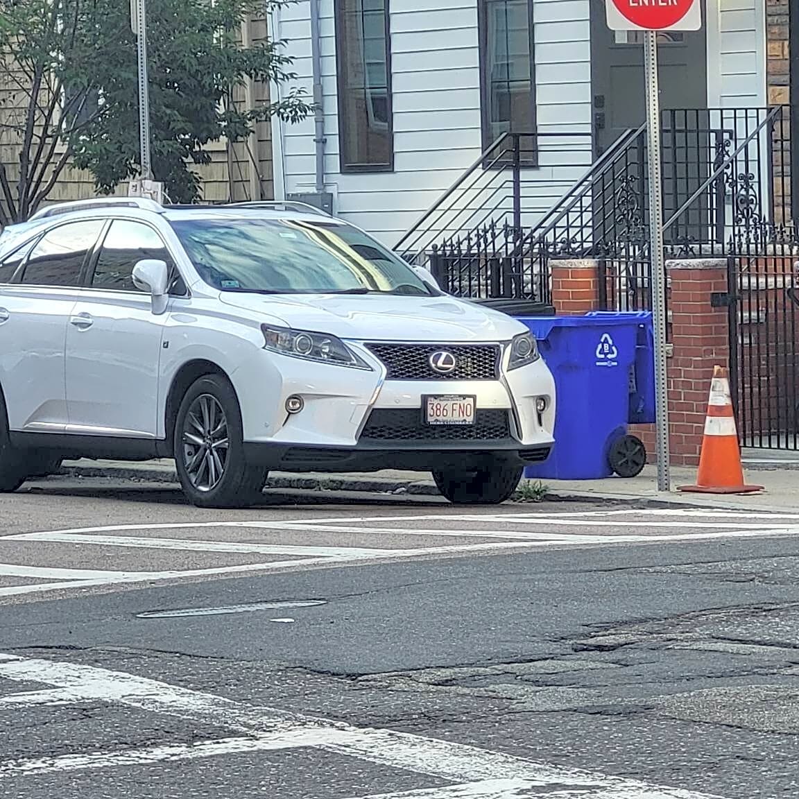 Image submitted with report