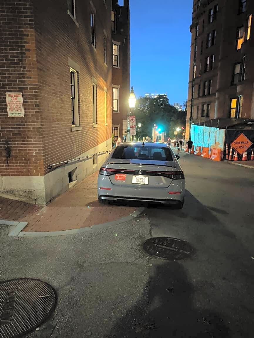 Image submitted with report