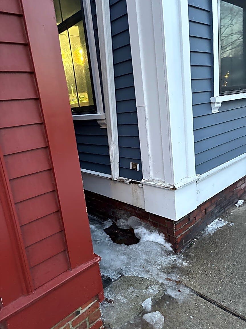 Image submitted with report