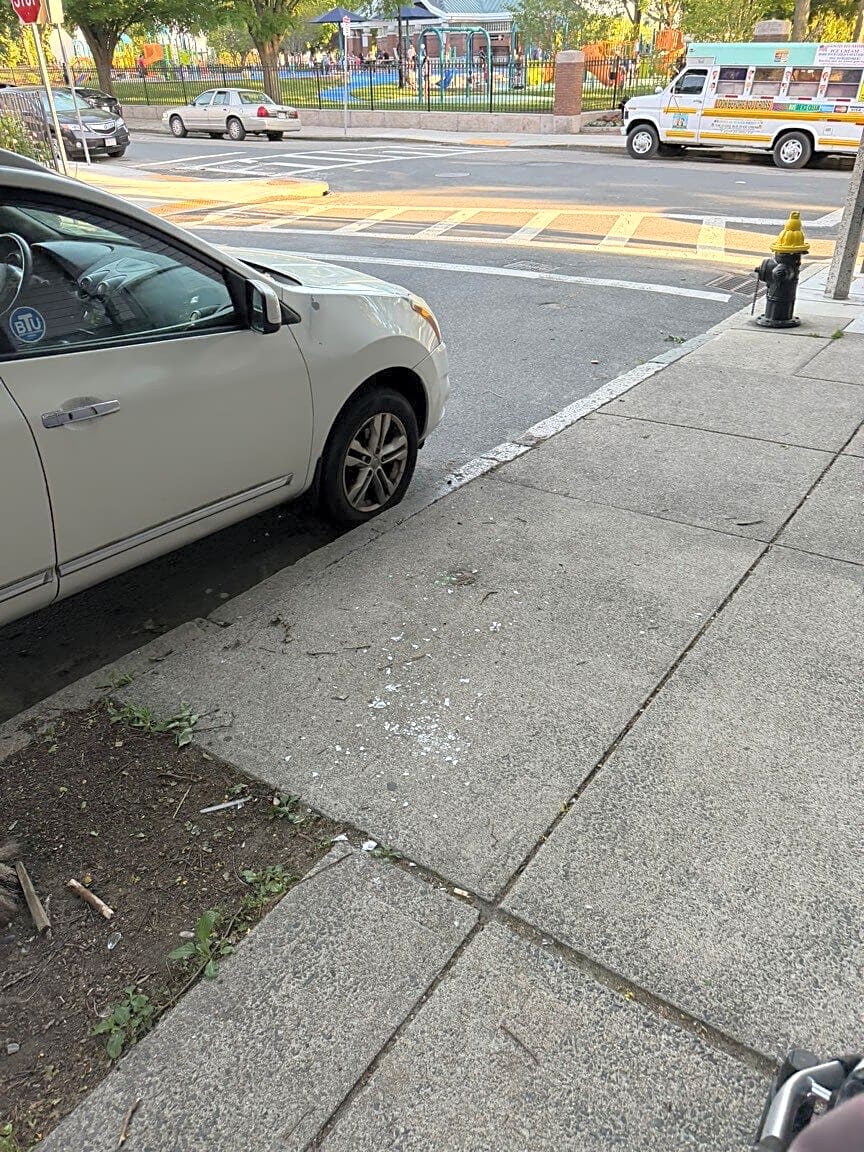 Image submitted with report
