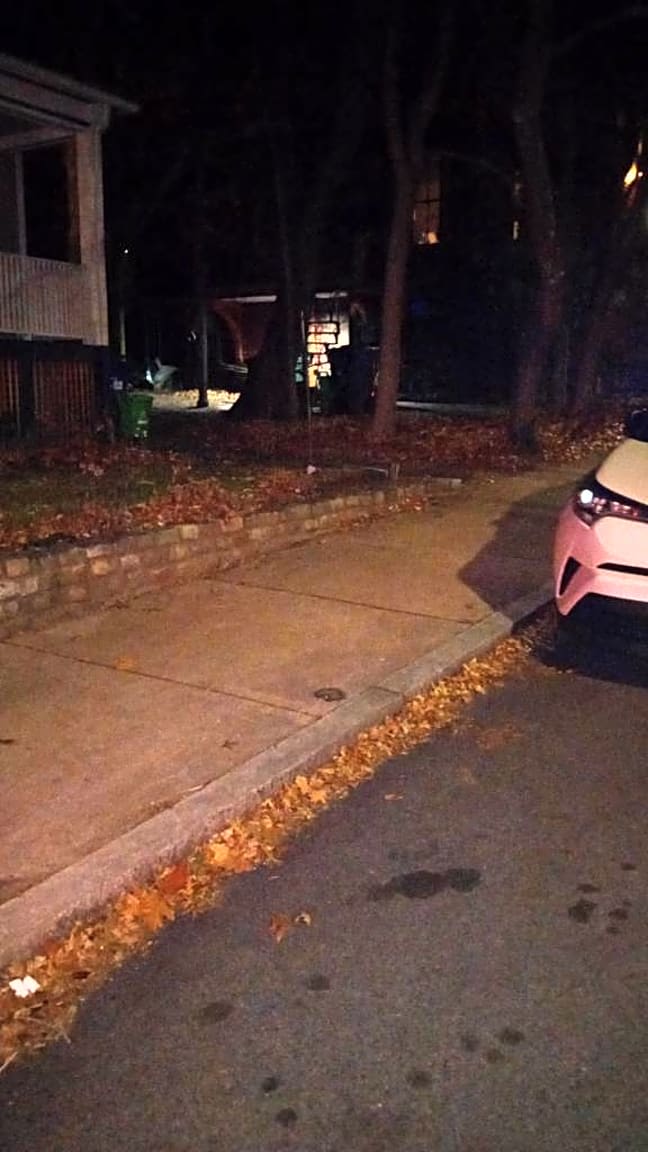 Image submitted with report