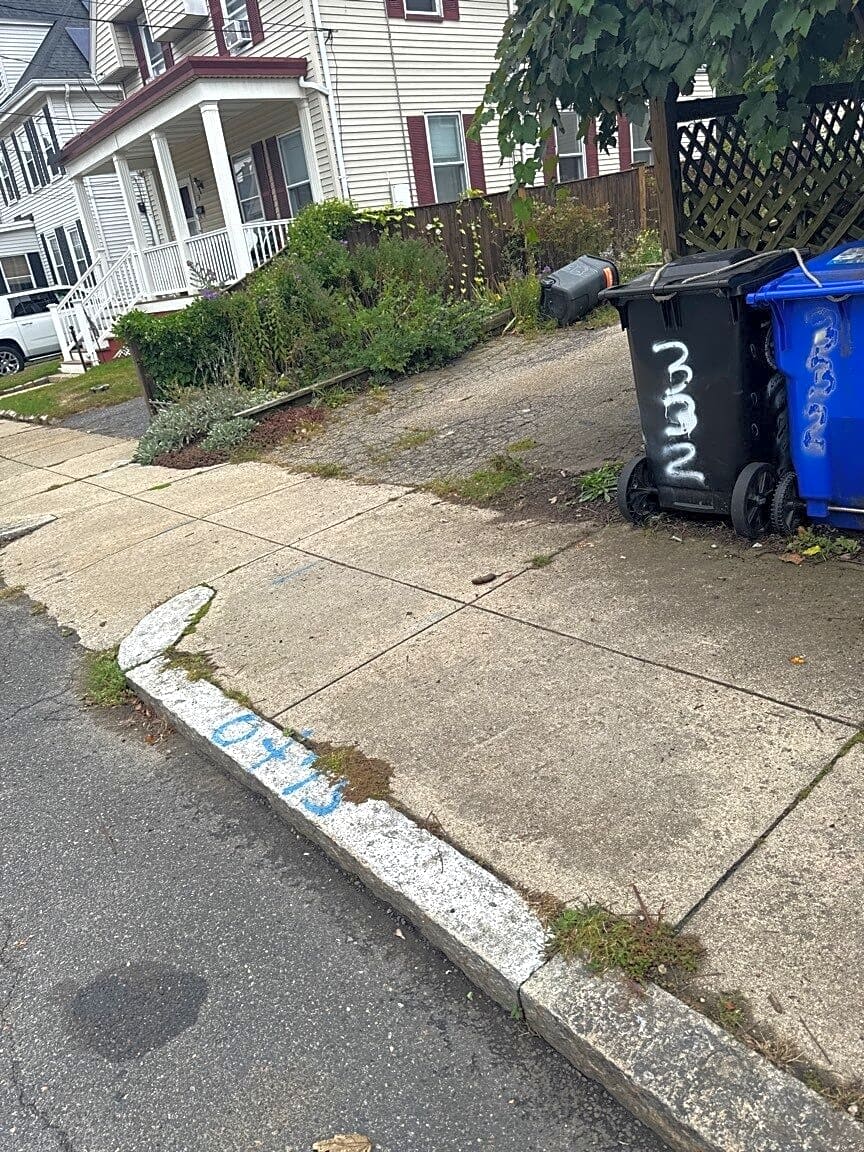 Image submitted with report