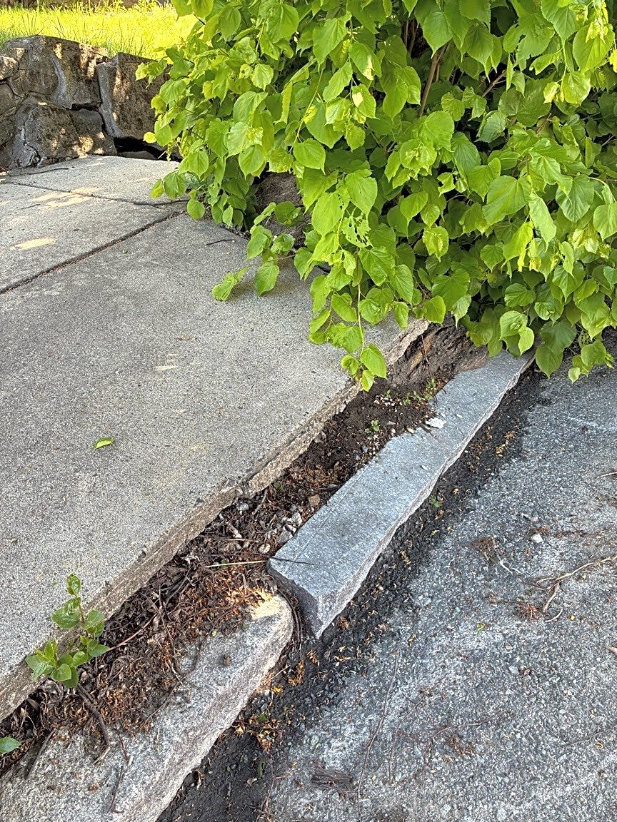 Image submitted with report