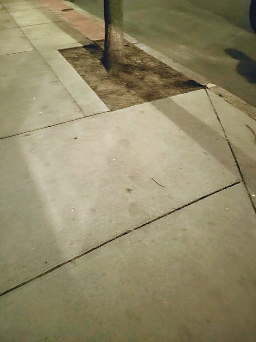 Image submitted with report