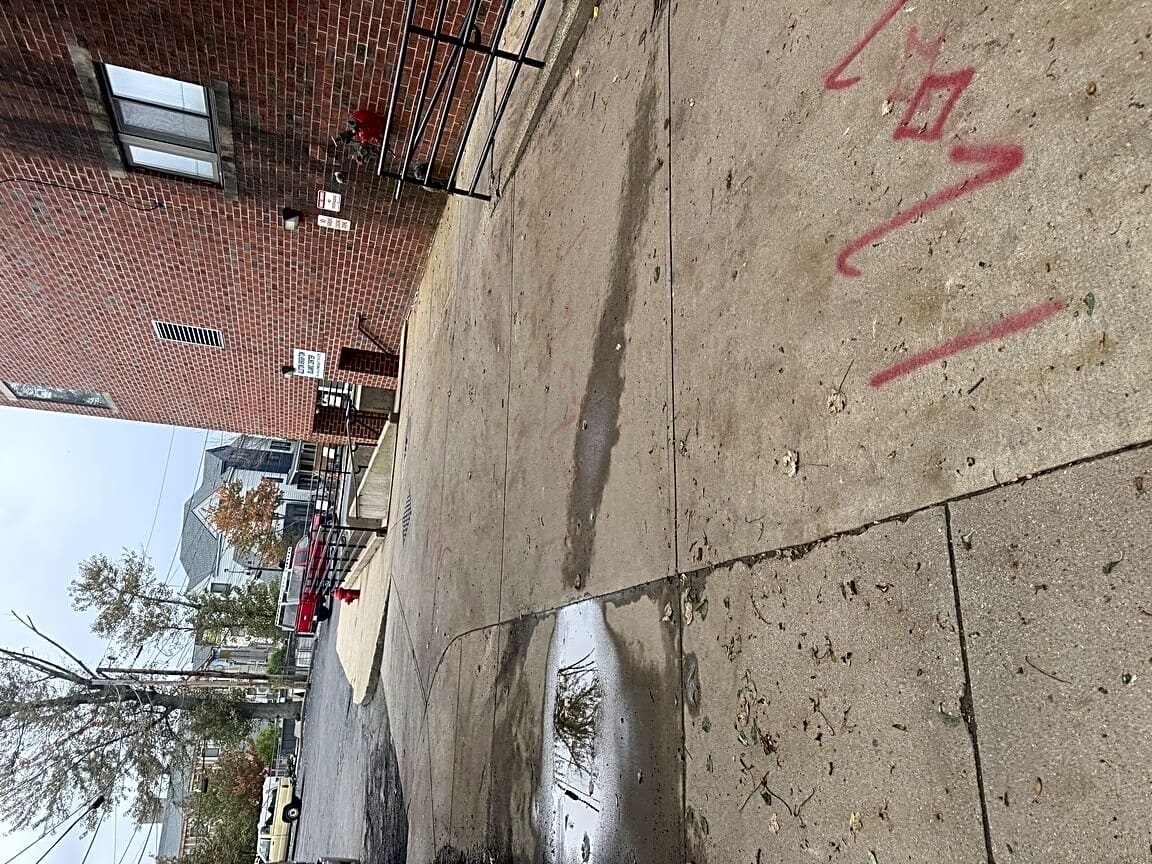 Image submitted with report