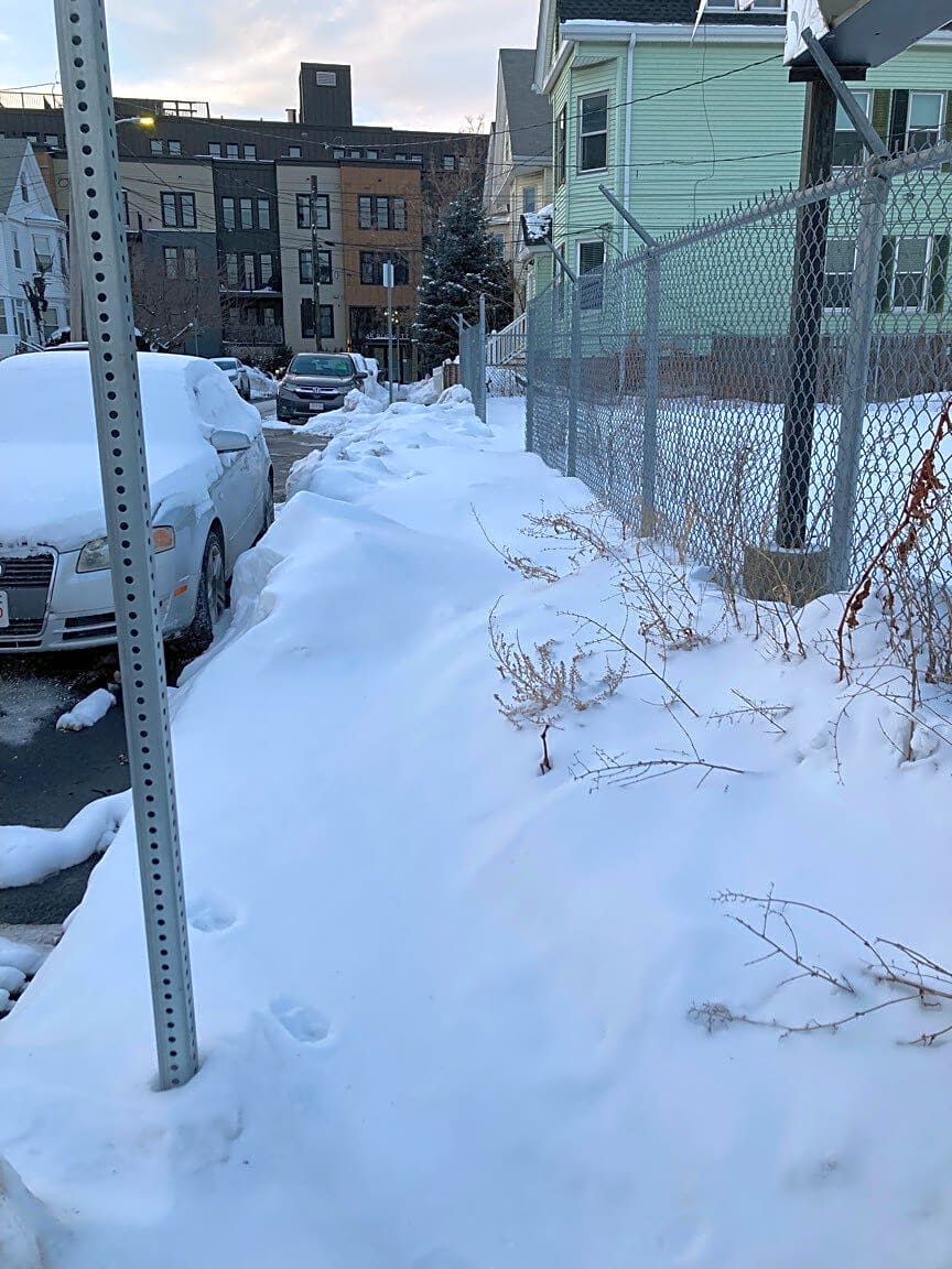 Image submitted with report