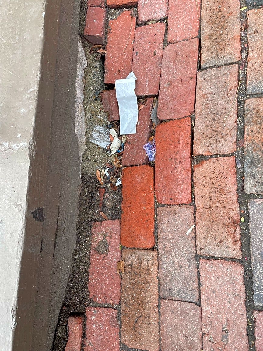 Image submitted with report