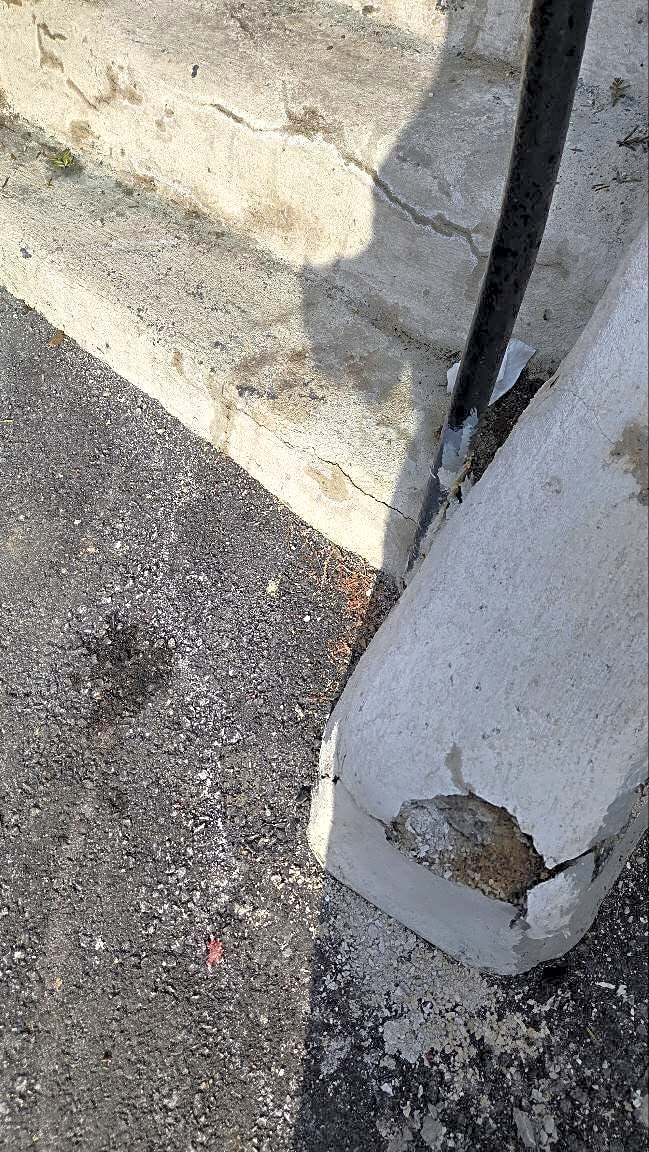 Image submitted with report