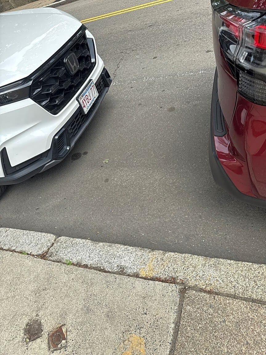 Image submitted with report