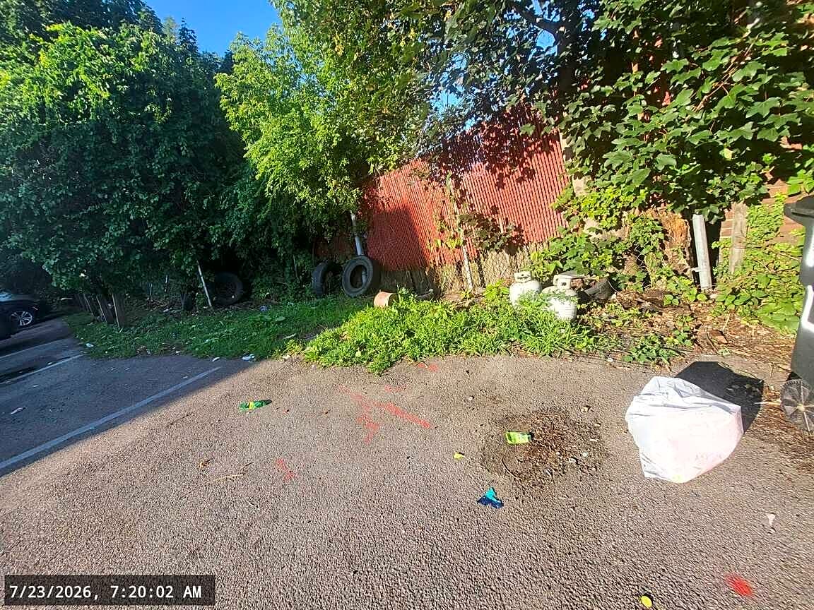 Image submitted with report