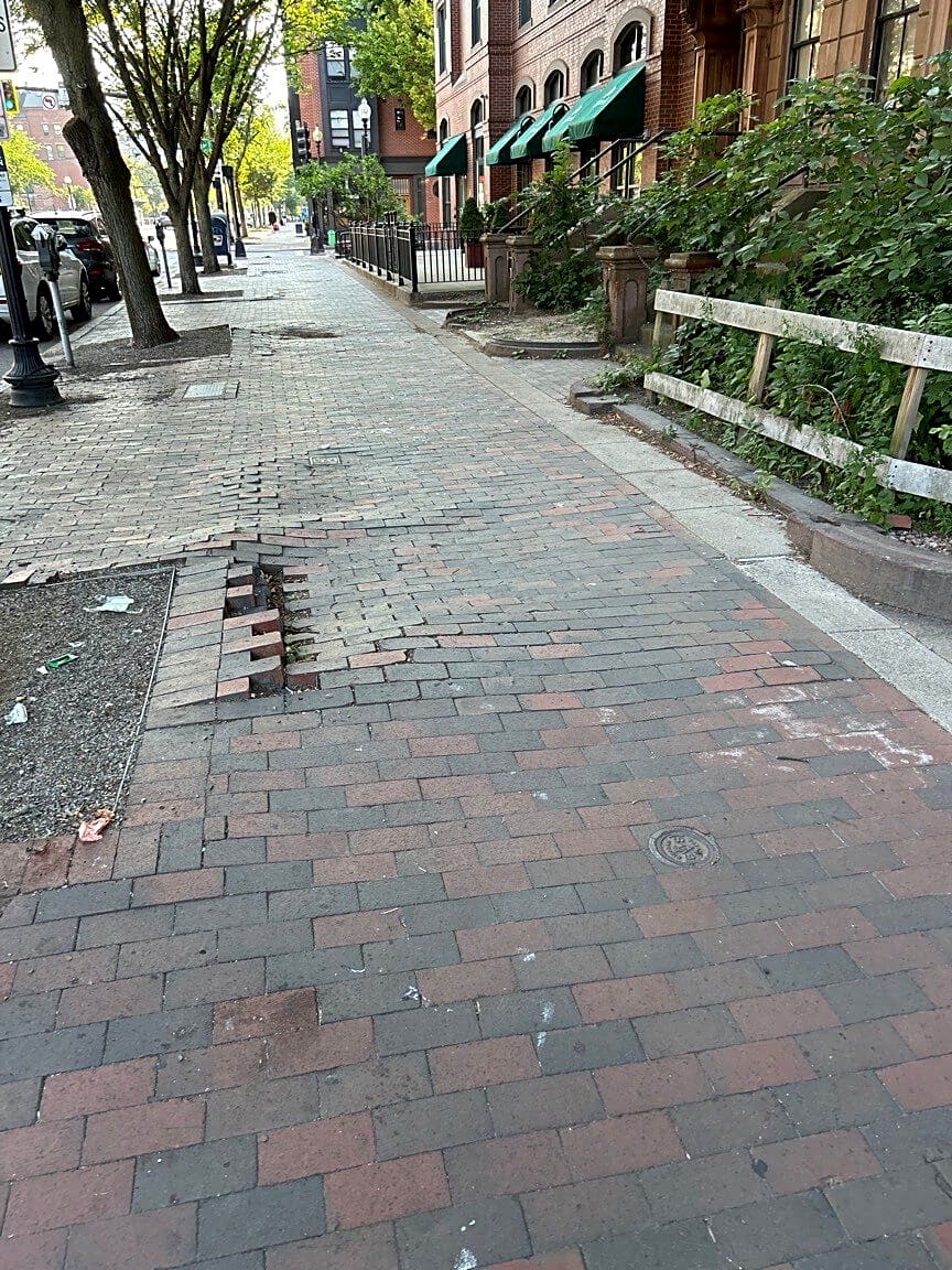 Image submitted with report