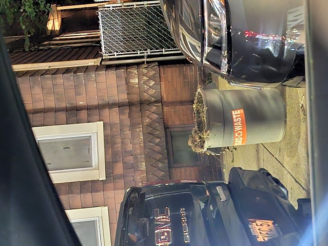 Image submitted with report