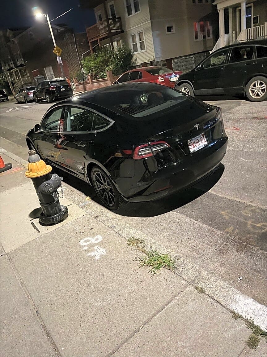 Image submitted with report