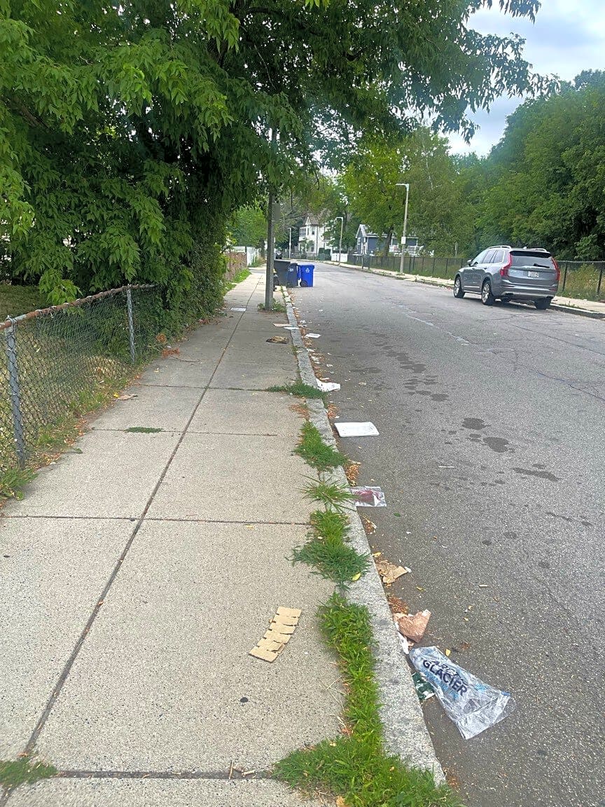 Image submitted with report