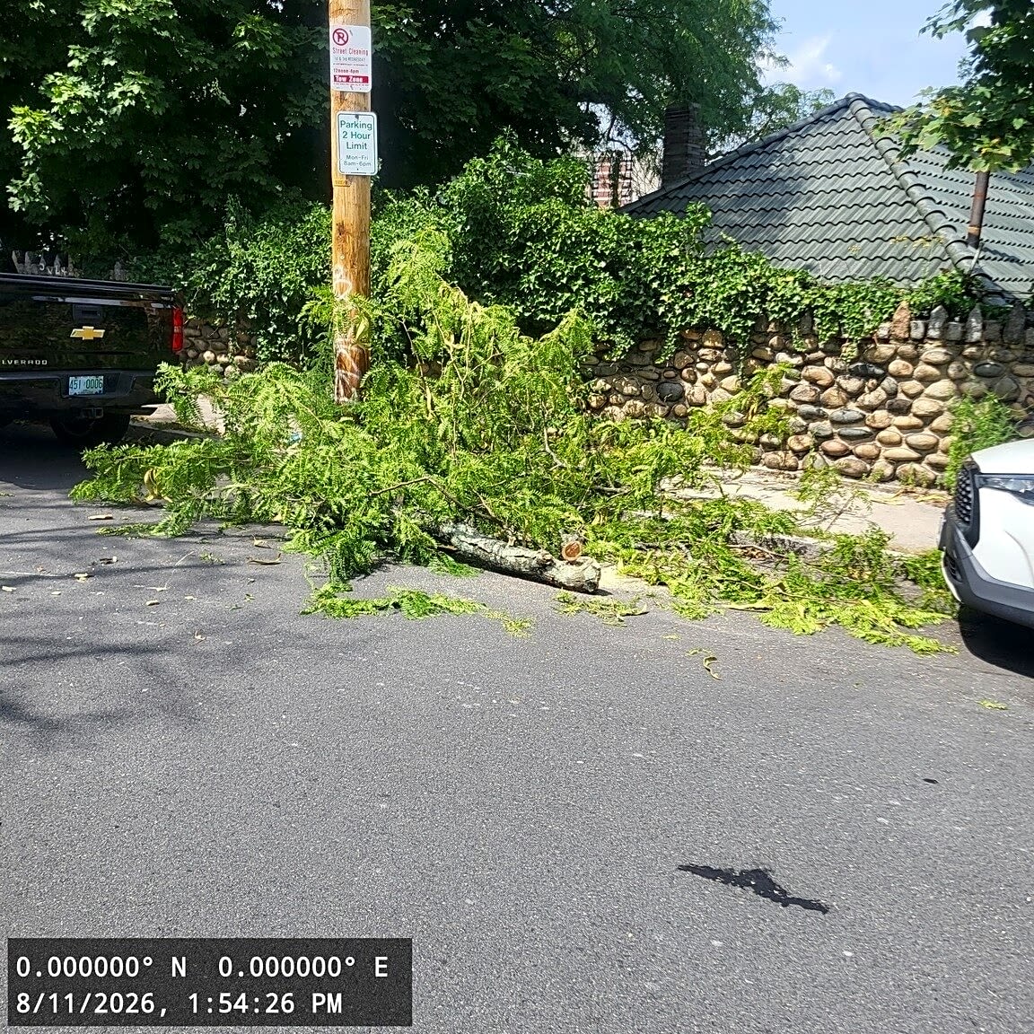 Image submitted with report