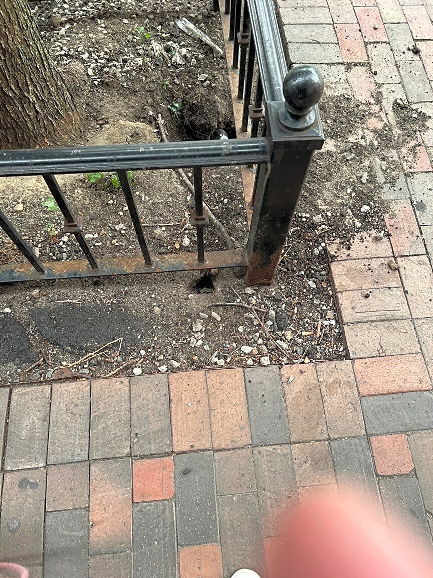 Image submitted with report
