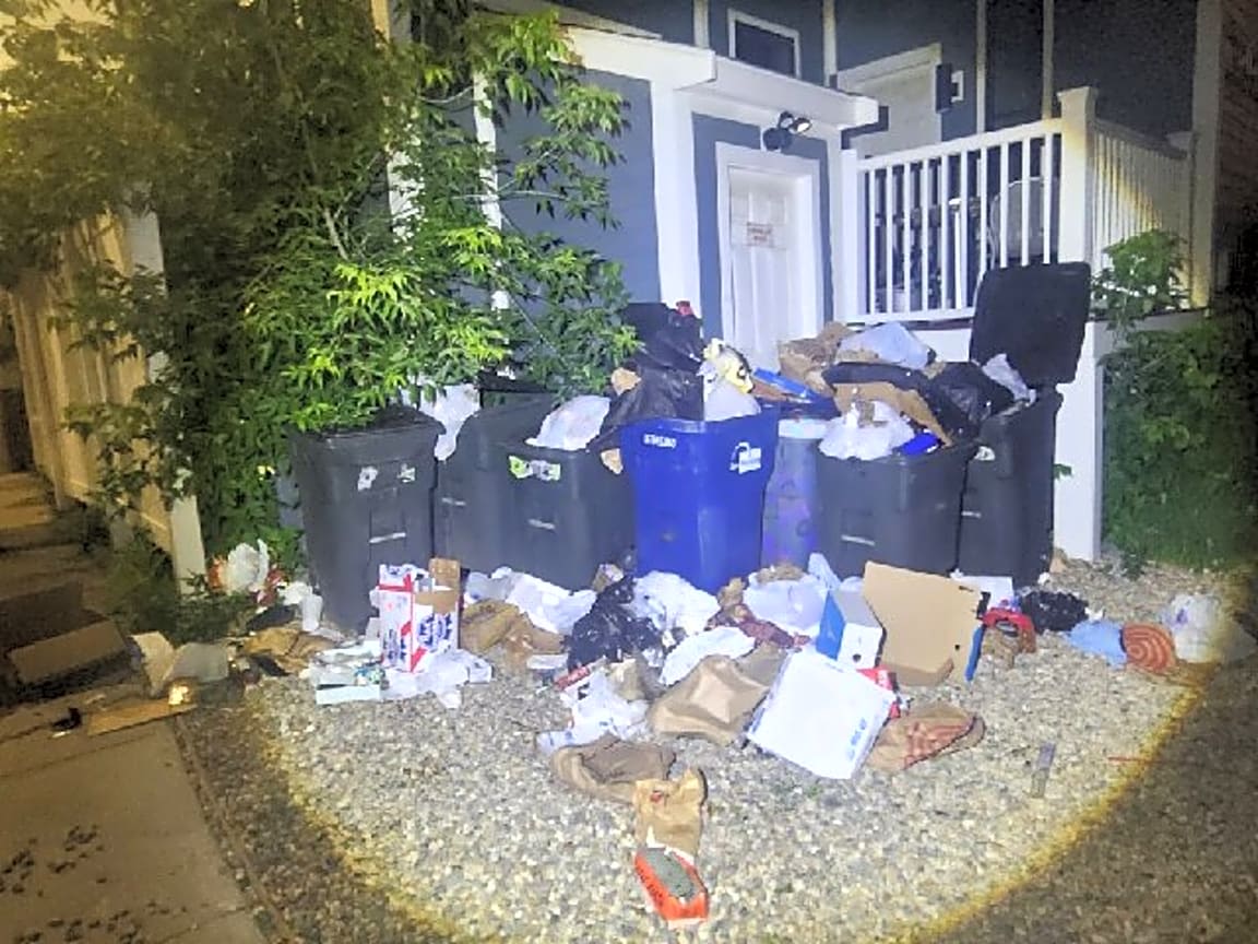 Image submitted with report