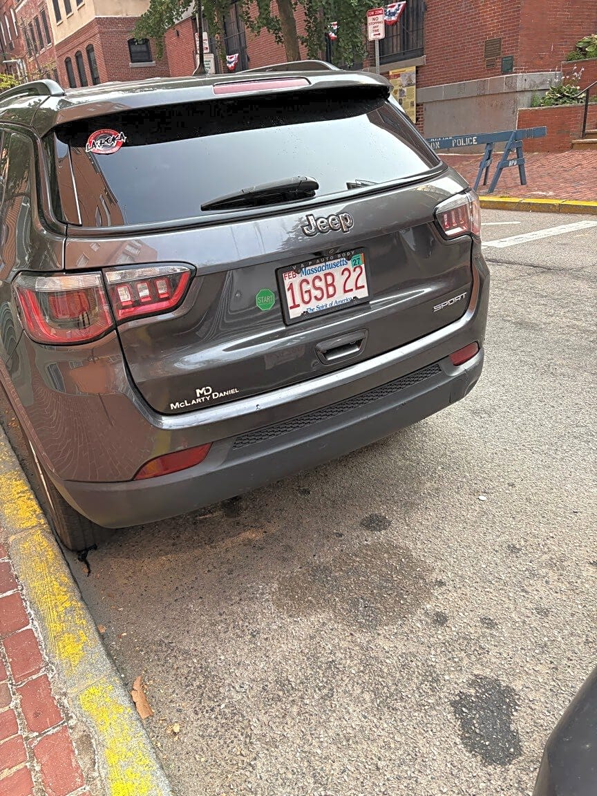 Image submitted with report