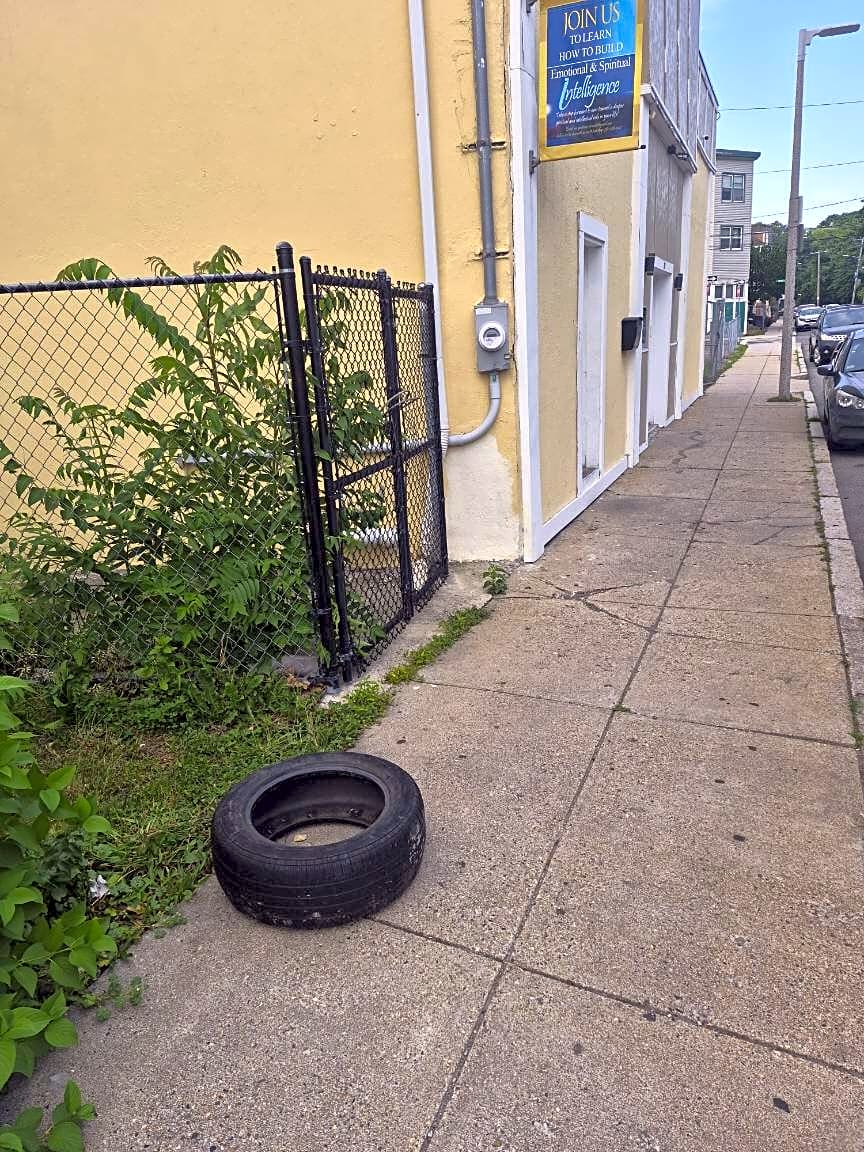 Image submitted with report