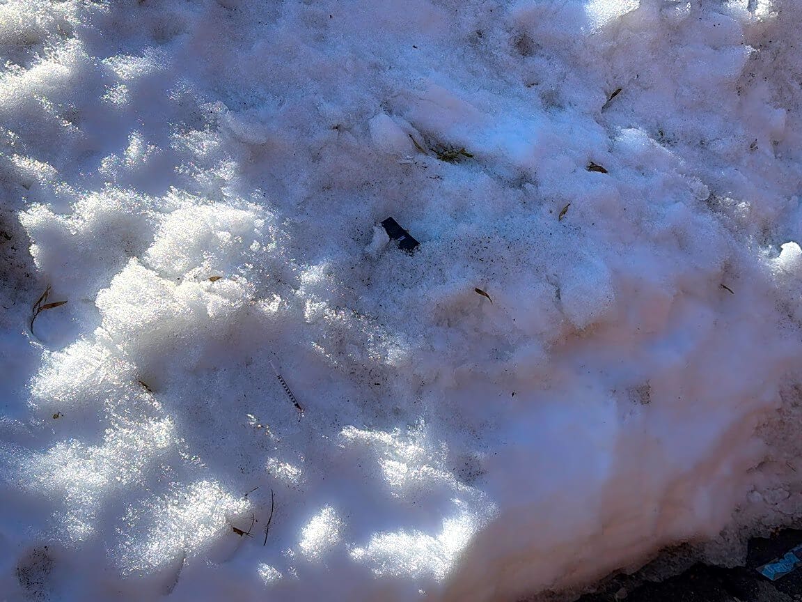 Image submitted with report