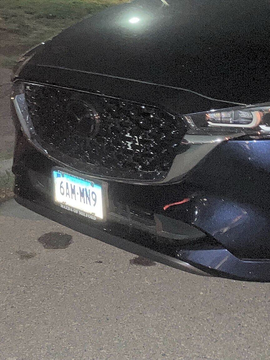Image submitted with report