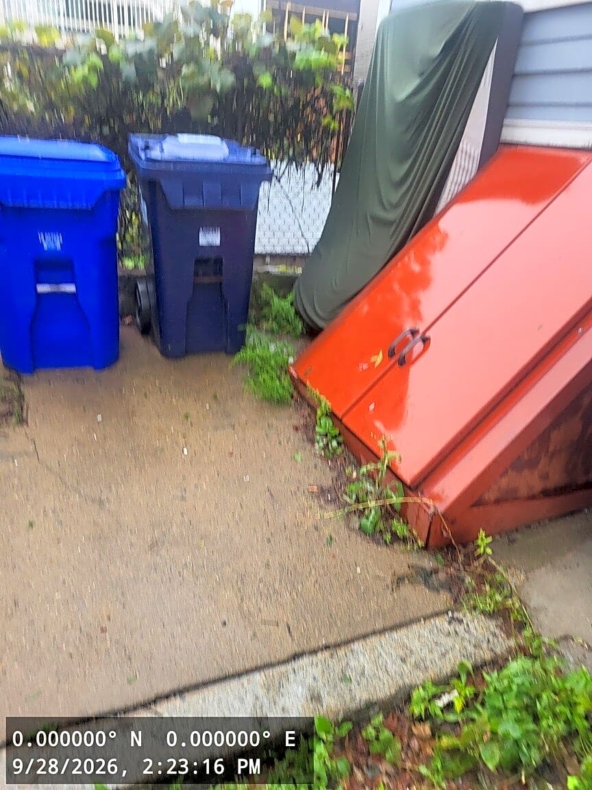 Image submitted with report