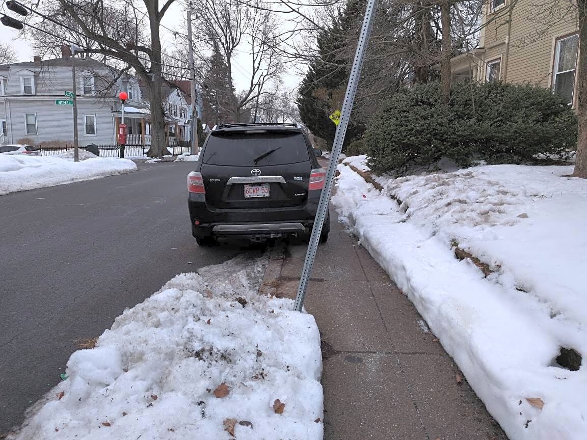 Image submitted with report