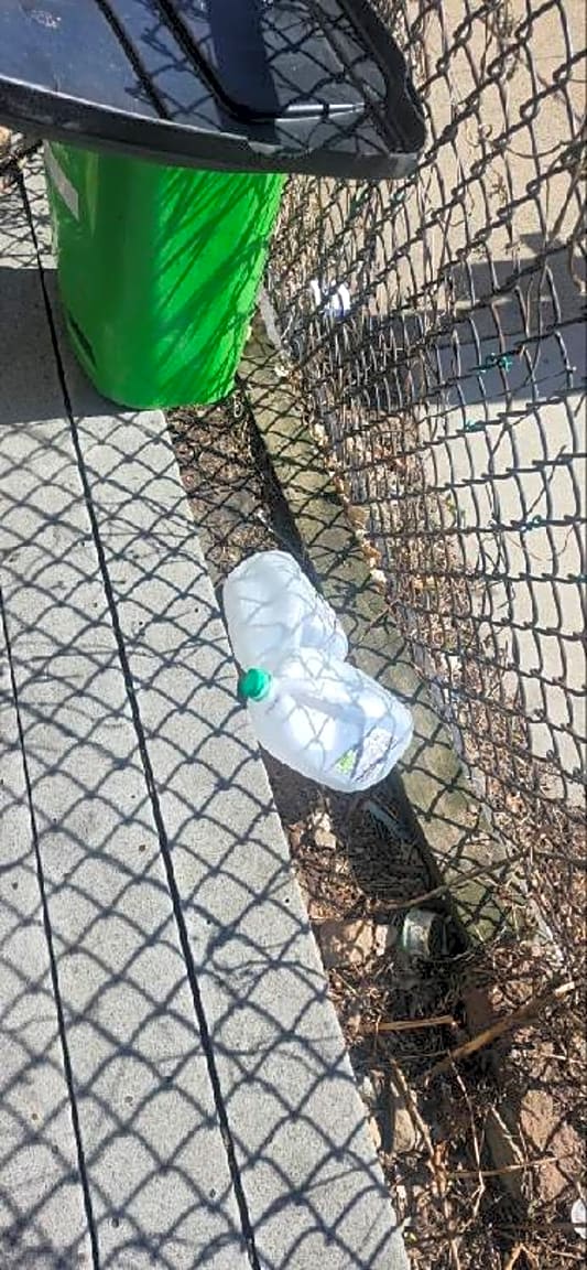 Image submitted with report