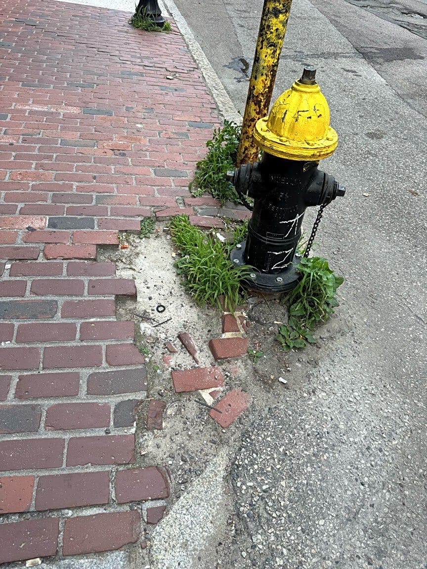 Image submitted with report