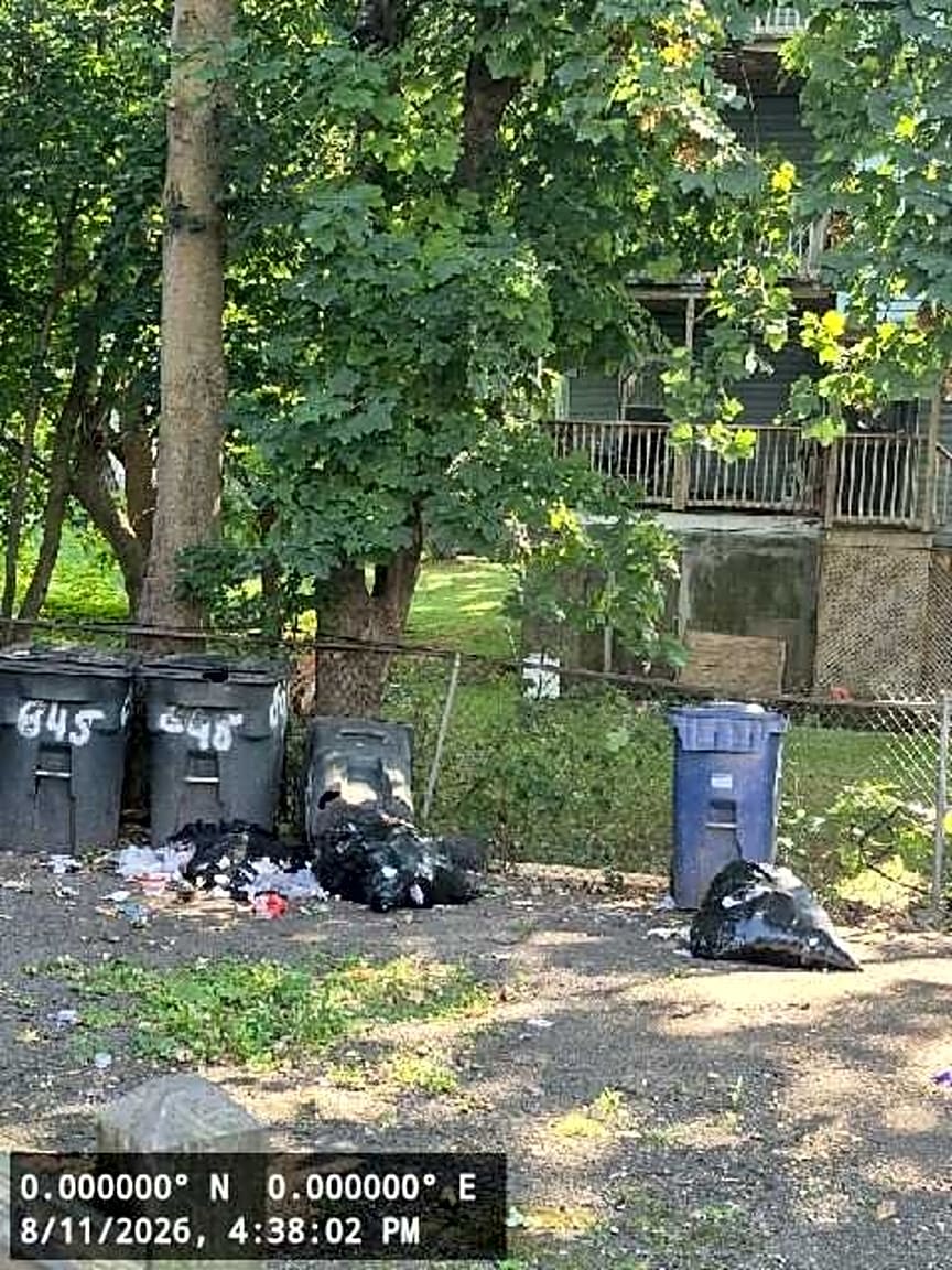 Image submitted with report