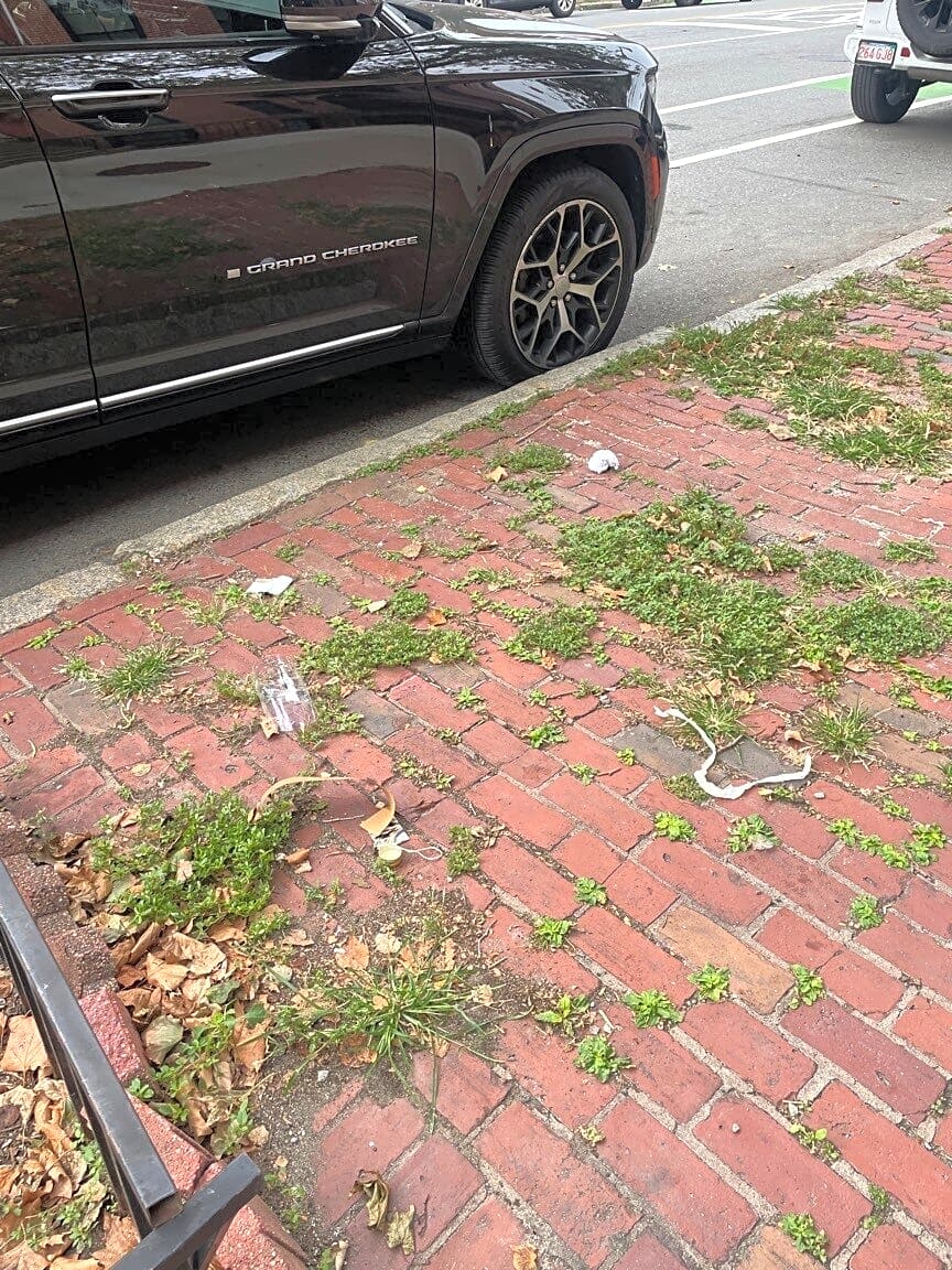 Image submitted with report