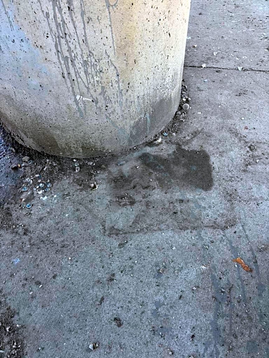 Image submitted with report