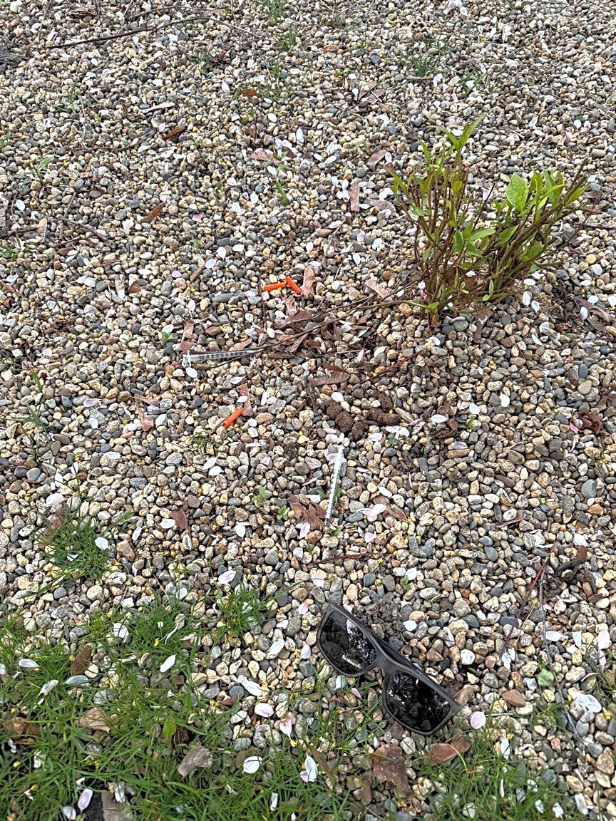 Image submitted with report