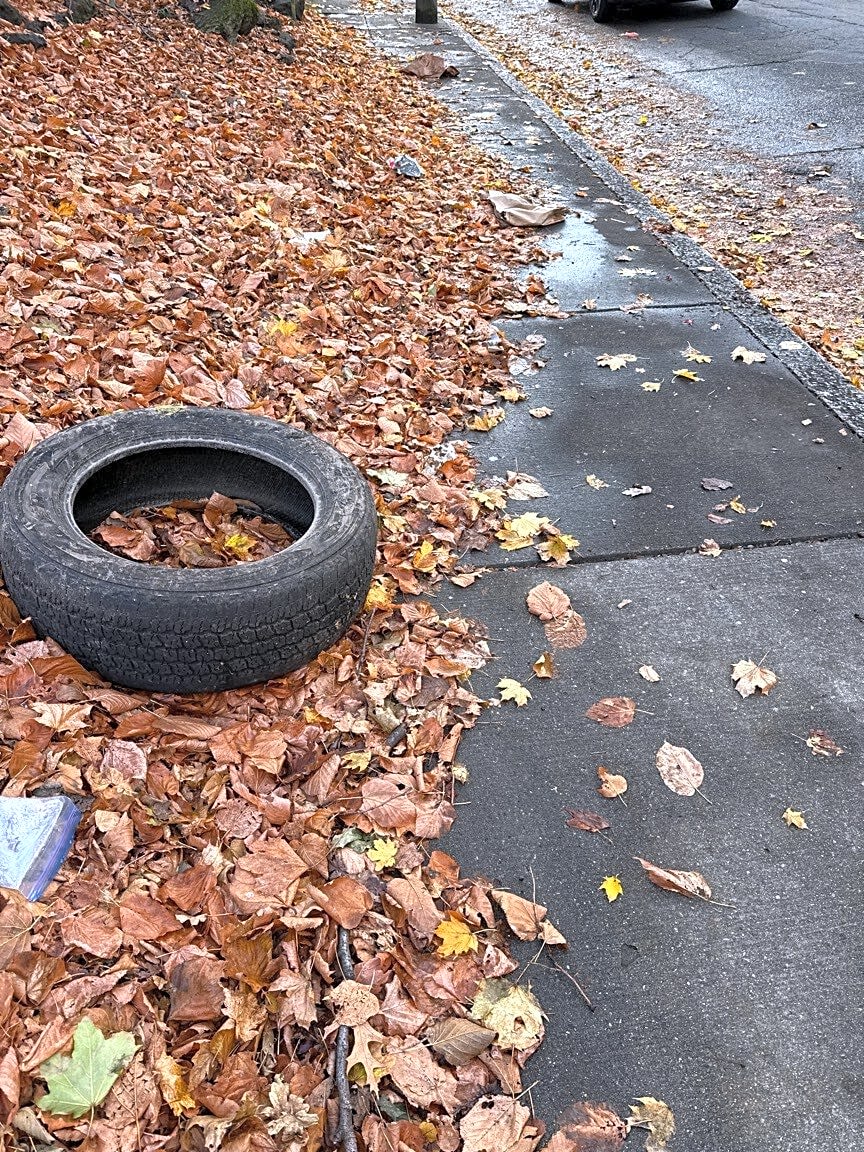 Image submitted with report