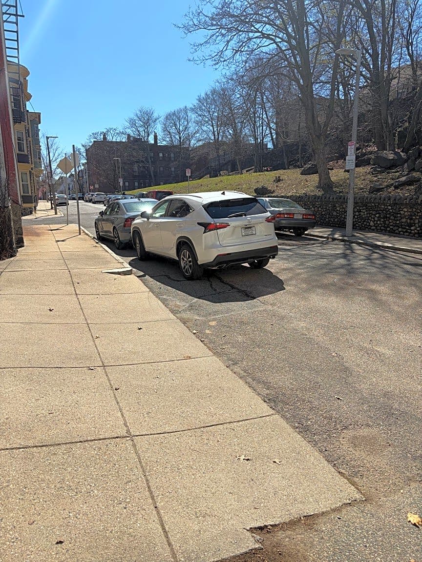 Image submitted with report