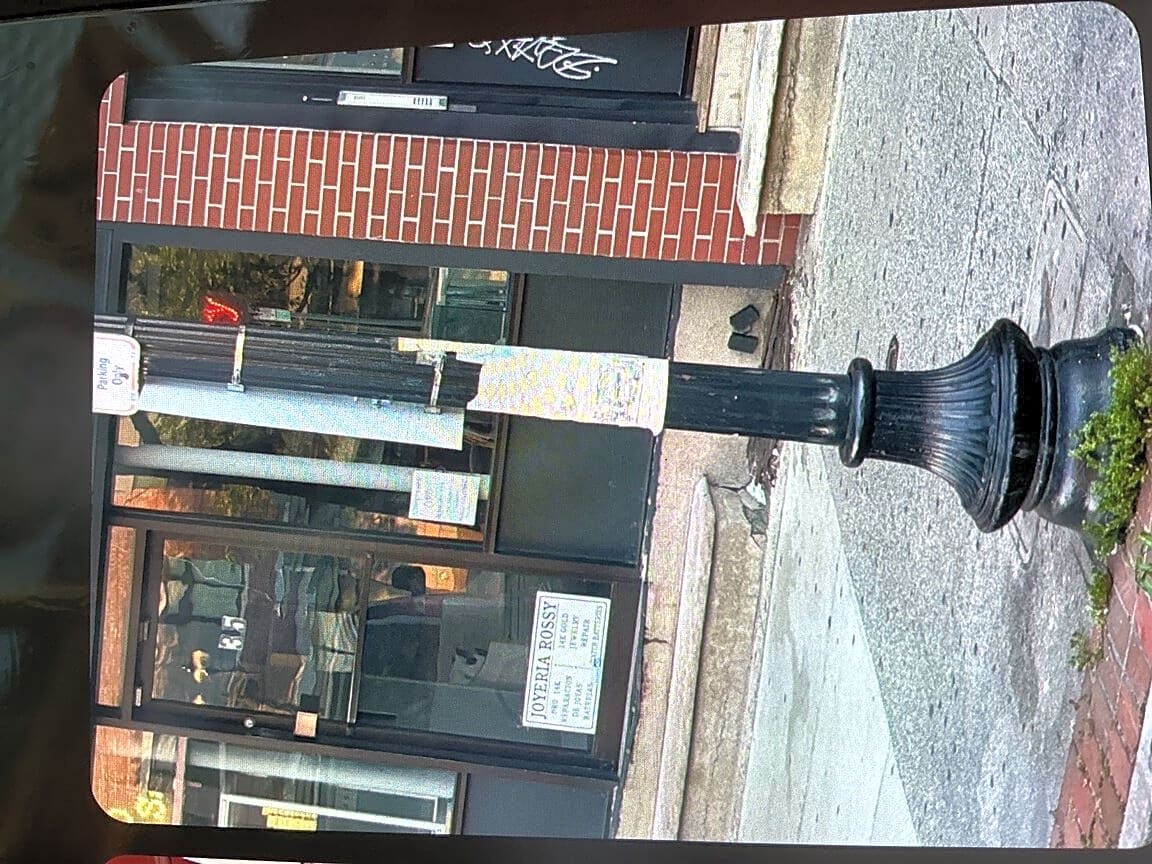 Image submitted with report