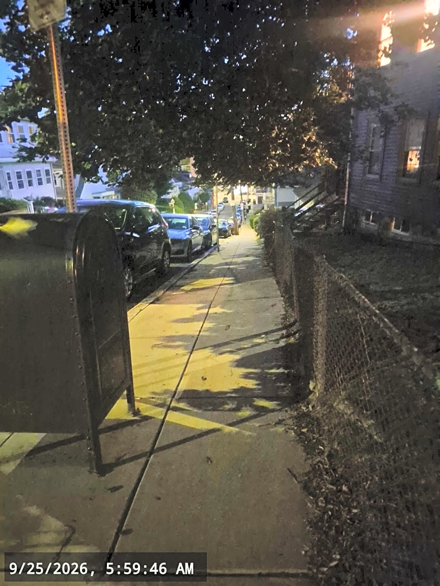 Image submitted with report