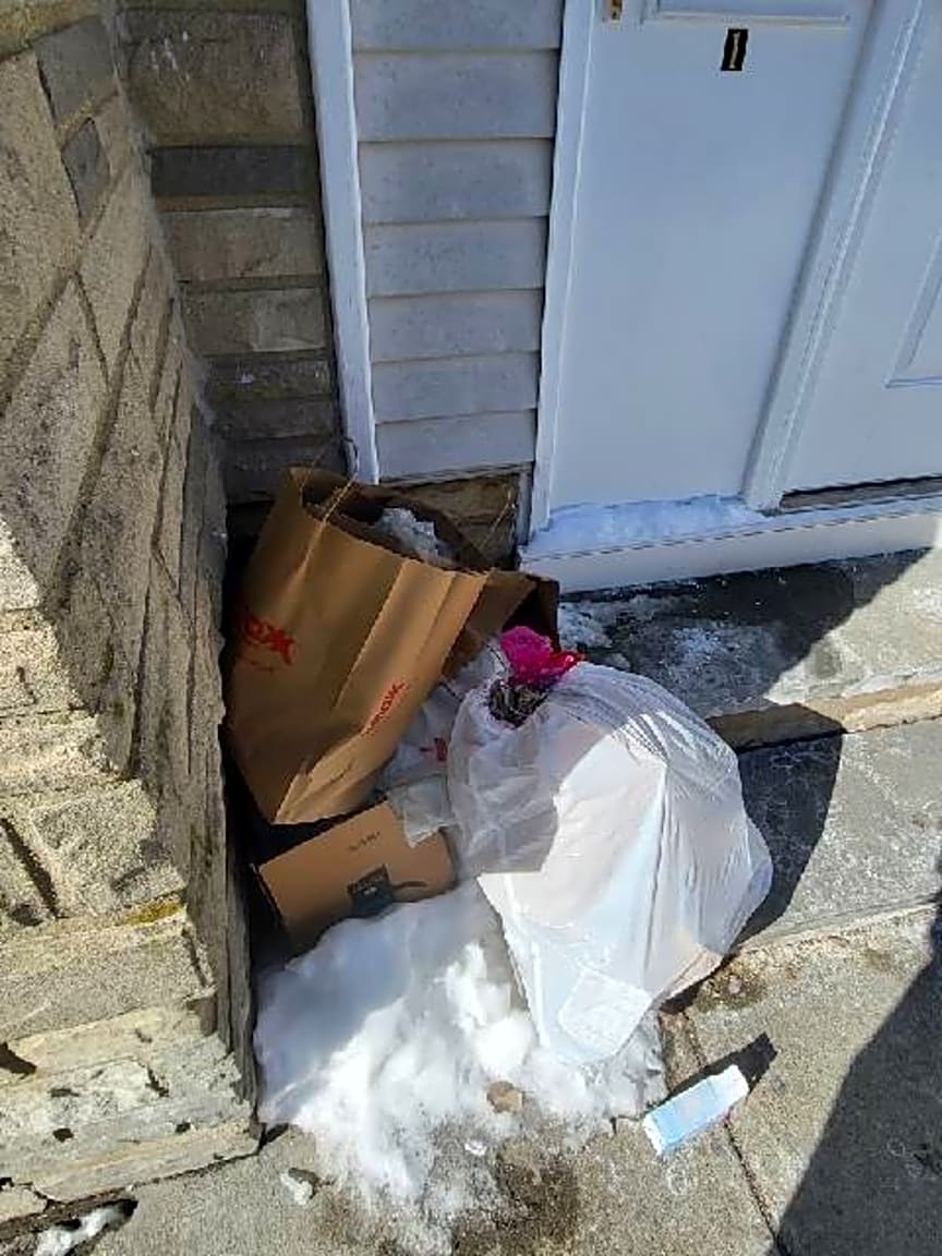 Image submitted with report