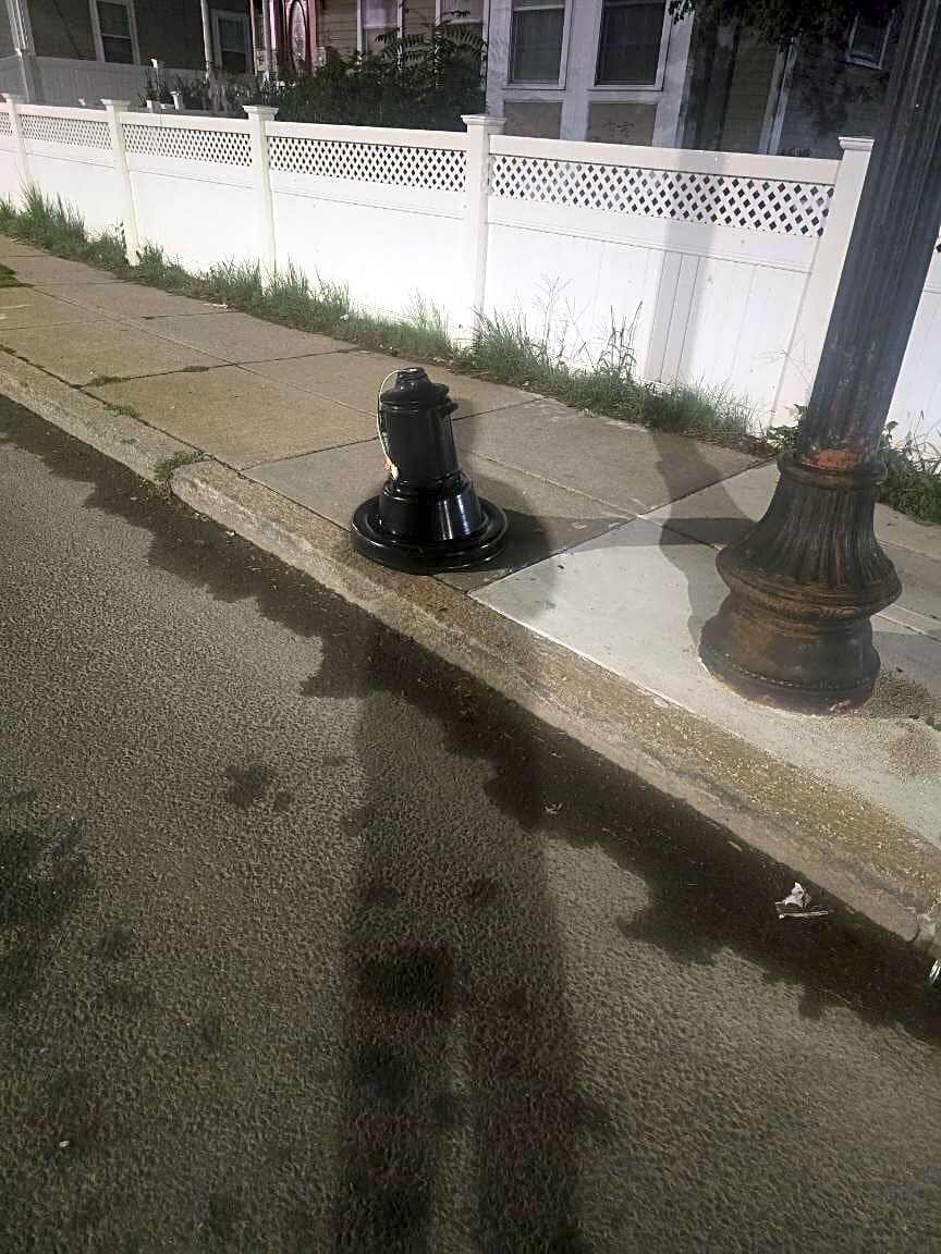 Image submitted with report