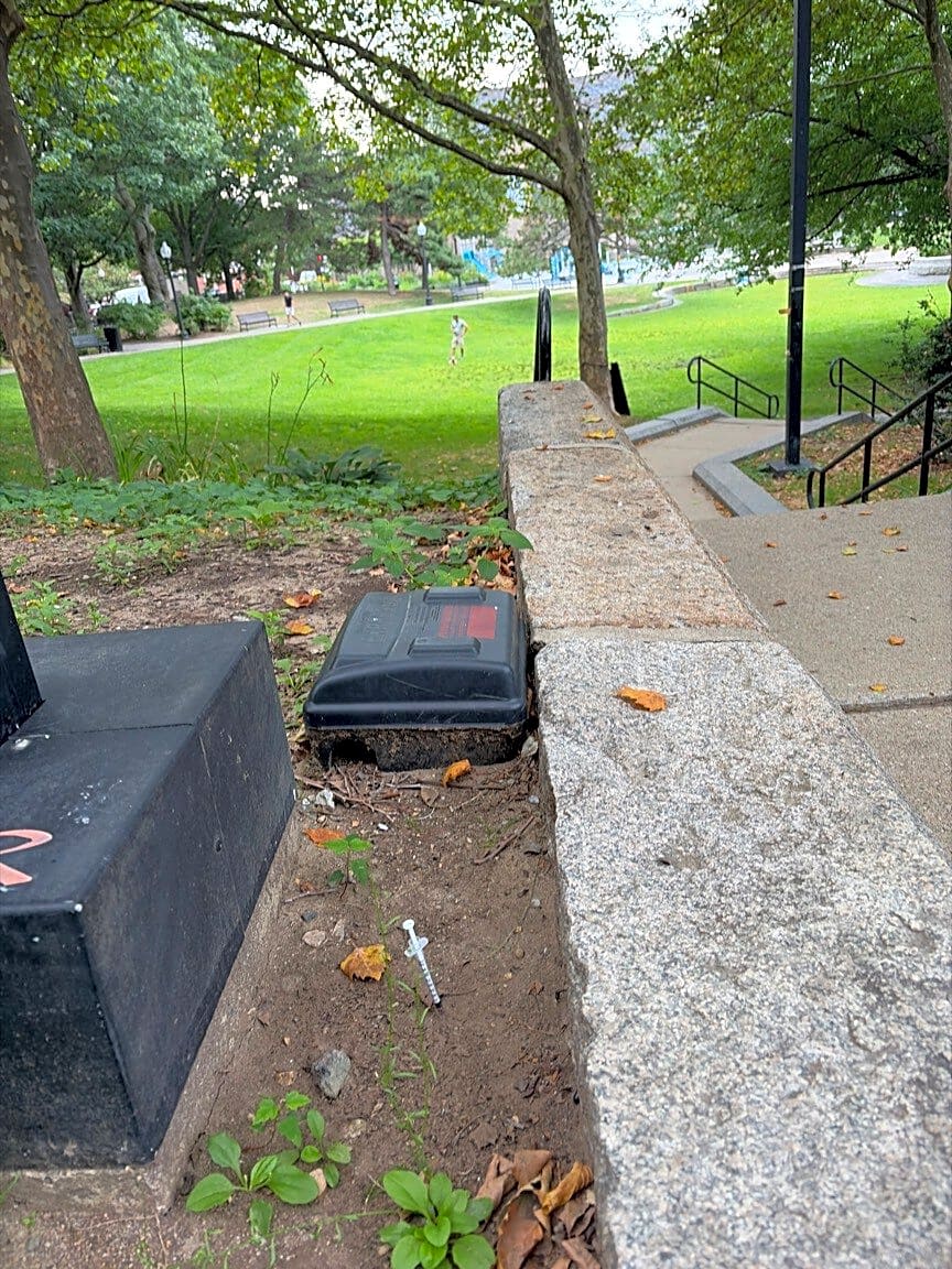 Image submitted with report