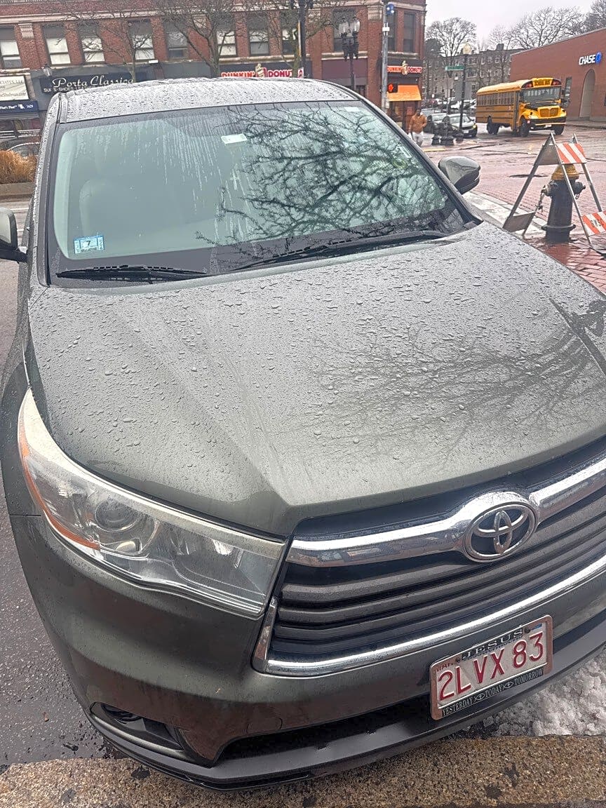 Image submitted with report