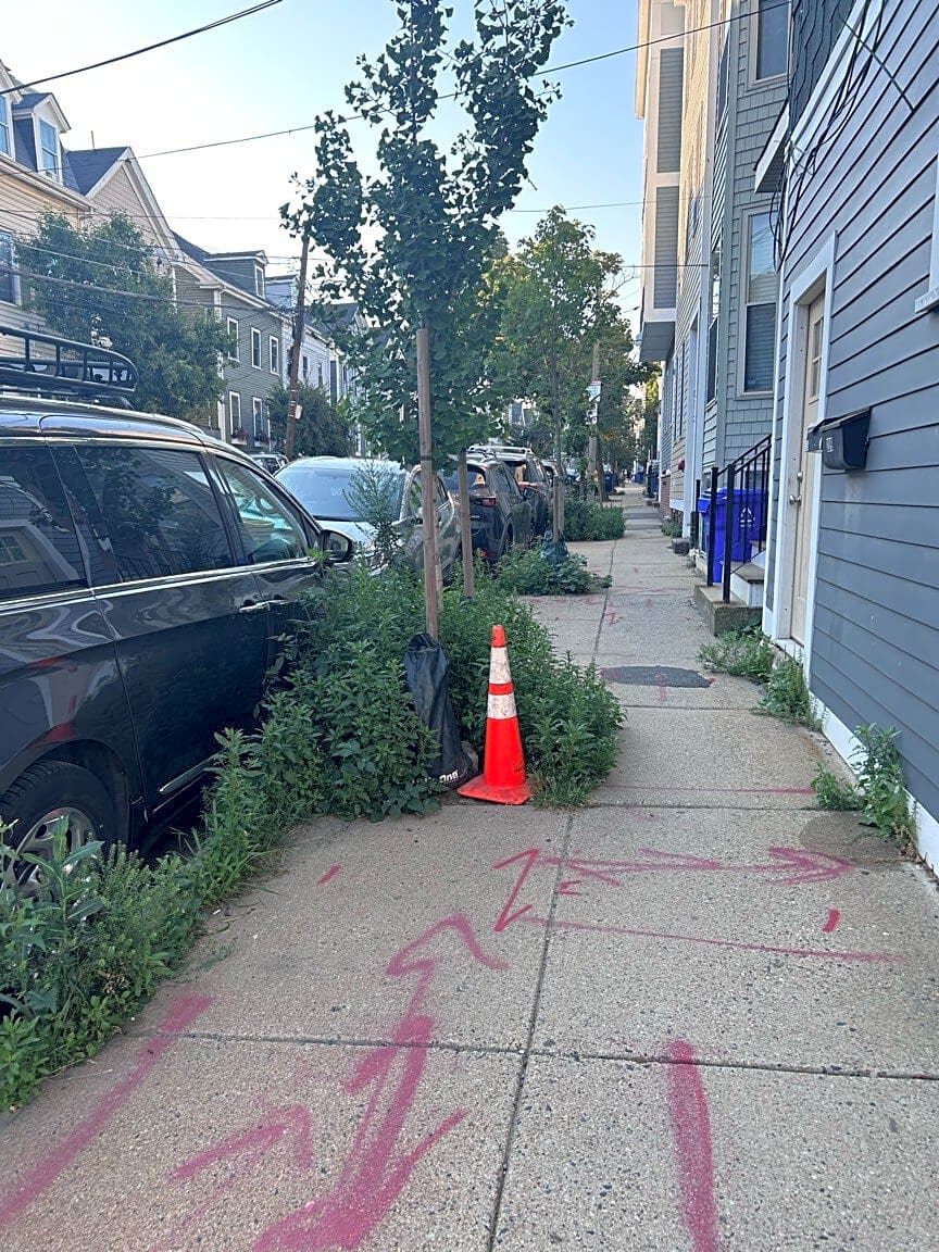 Image submitted with report